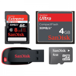 Memory Card, Flash Drive